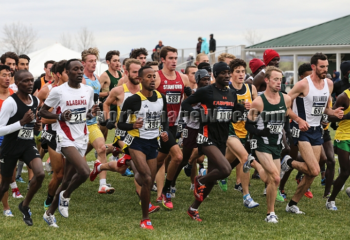 2016NCAAXC-051.JPG - Nov 18, 2016; Terre Haute, IN, USA;  at the LaVern Gibson Championship Cross Country Course for the 2016 NCAA cross country championships.